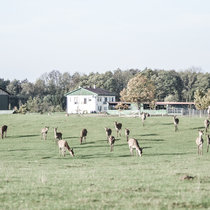 Pommernhirsche, Betriebsgebäude Betrieb