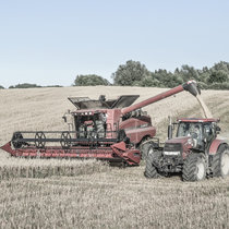 Pommernhirsche, Betrieb, Ernte Pommernhirsche, Betrieb, Ernte