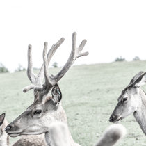 Spießer 2 Spießer 2