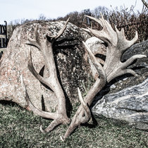 Abwurfstangen April 2016 Abwurfstangen April 2016