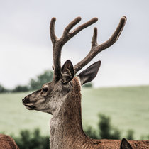 Juli Spießer Juli Spießer