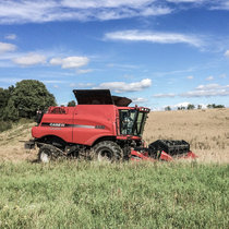 Ernte Pommernhirsche 2016 Ernte Pommernhirsche 2016