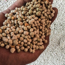 Ernte Pommernhirsche 2016 Ernte Pommernhirsche 2016