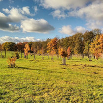 Herbstlandschaft Herbstlandschaft