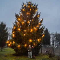 Weihnachten 2016 in Pommern Weihnachten 2016