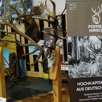 Jagd und Hund 2017 Jagd und Hund 2017