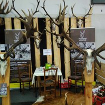 Jagd und Hund 2017 Jagd und Hund 2017