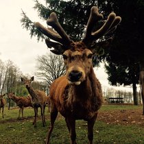 Pommern im Mai 2017 Mai 2017