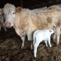 Pommern Mai 2017 Pommern Mai 2017