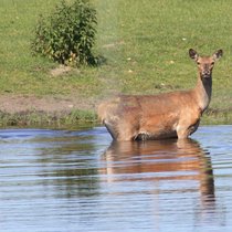 Abkuehlung Abkuehlung