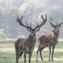 Herbststimmung Herbststimmung