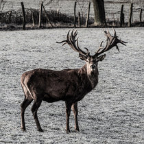 Januar 2018 Januar 2018