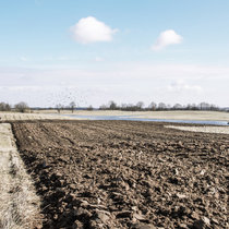 Pommernhirsche April 2018 Pommernhirsche April 2018