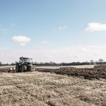 Pommernhirsche April 2018 Pommernhirsche April 2018