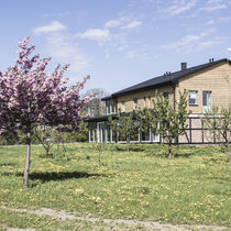 Pommernhirsche Juli 2018 Pommernhirsche Juli 2018